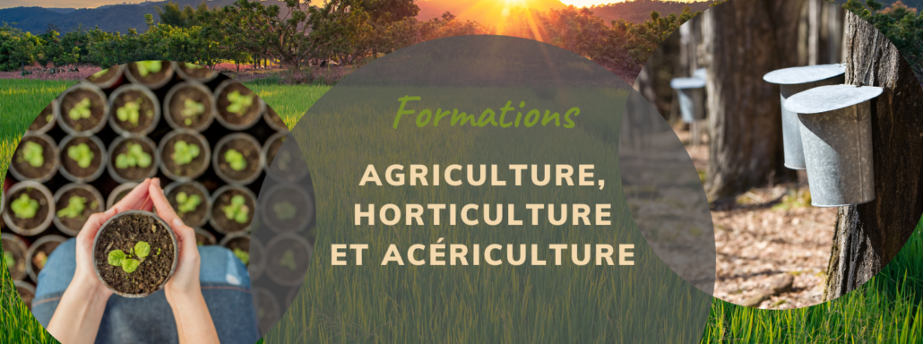 Bandeau _ Agriculture, horticulture et acériculture