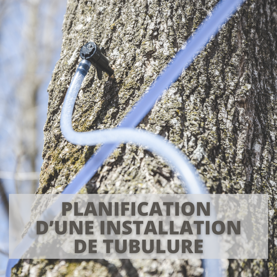 Parcours Formation | Planification d’une installation de tubulure | Érable avec tubulure